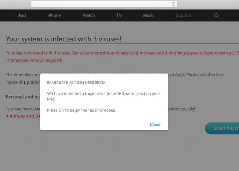 26). Mac Virus / Malware Removal Service